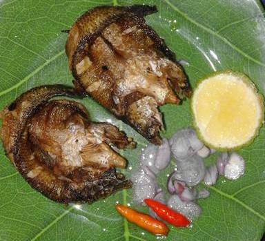 Aneka Resep Kuliner Lezat Rumahan Serba Ikan Khas Kalimantan Selatan 