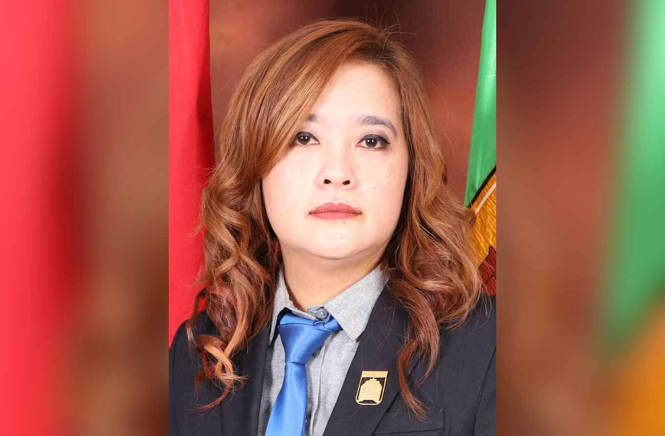 Anggota DPRD Banjarbaru, Emi Lasari