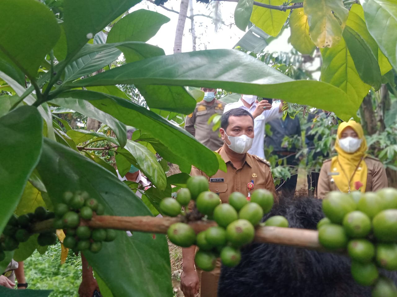 Kebun Kopi Edukasi Pertama di Kalsel Ada di Banjarbaru