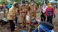 Hari Menanam Pohon Indonesia, DLH dan Pemko Tanam 6500 Bibit Pohon