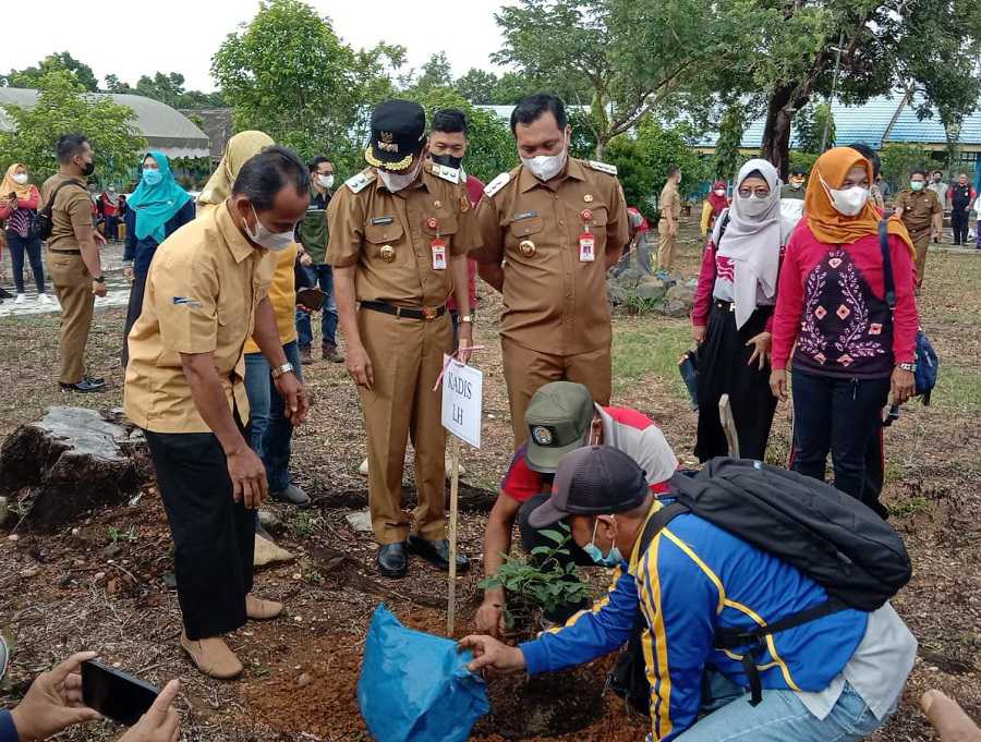 Hari Menanam Pohon Indonesia, DLH dan Pemko Tanam 6500 Bibit Pohon