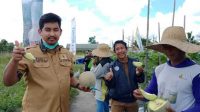 Promosikan Wisata Petik Melon, Ketua DPRD Banjarbaru Minta Pemerintah Perbaiki Infrastruktur